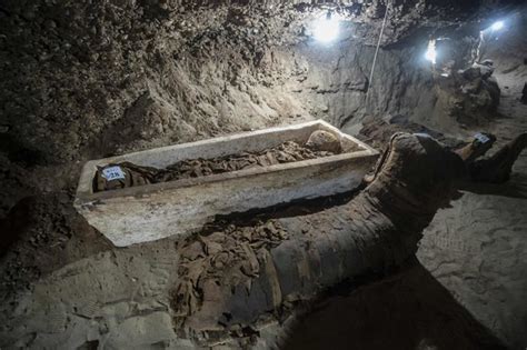 ancient burial chamber uncovered in egypt with 17 mummies so far the new york times