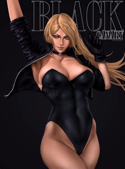 Black Canary DC Comics Image By WTParadise Zerochan Anime Image Board