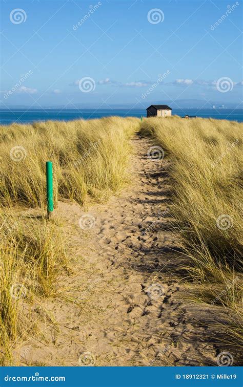 A Sandy Path On An Outer Banks Island Through Tall Marsh Grass Royalty