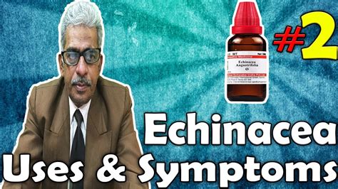 Echinacea Part 2 Uses And Symptoms In Homeopathy By Dr Ps