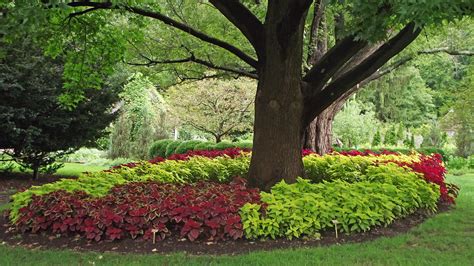 Check spelling or type a new query. Planting A Garden In Ohio - Garden Ftempo