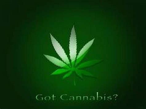 Weed Wallpaper Xbox Weed Best Ps3 Themes Here You