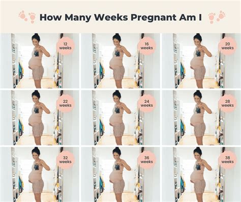 How Many Weeks Pregnant Am I Due Date Calculator On Last Menstrual Period