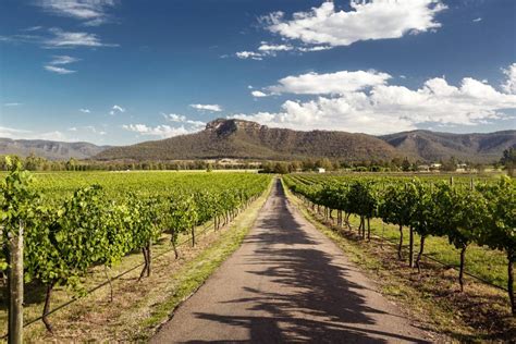 A Comprehensive Guide To Australian Wine Regions Virgin Wines