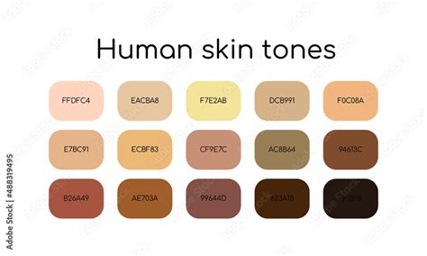Vetor De Skin Tones Palette By Color Codes Different Types Human Skin