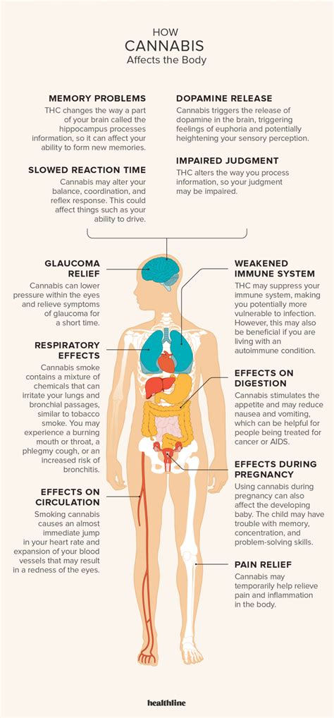 view 13 short and long term effects of smoking to the body aboutmissgraphic