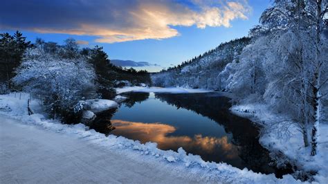 Nature Landscapes Winter Snow Rivers Trees Forest