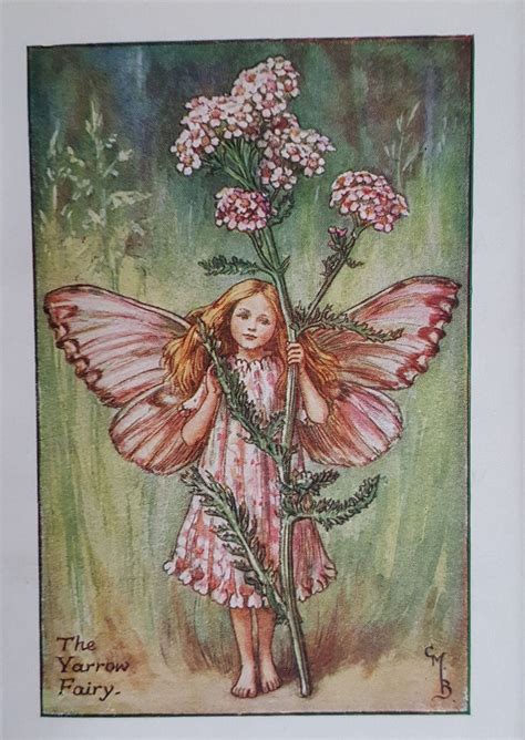 Yarrow Summer Flower Fairy Mounted Flower Fairies 1930s Etsy In 2021