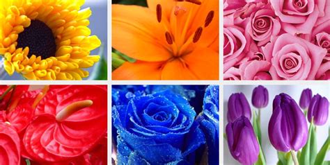 Choosing The Right Colour Flowers For Your Wedding Inmotion Flowers