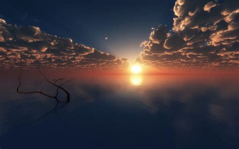 Beach Clouds Driftwood Evening Horizon Landscape Nature Photo