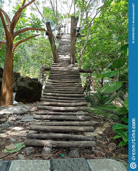 Wooden Up Stairs In Forest Climbing For Tree Stock Photo Image Of