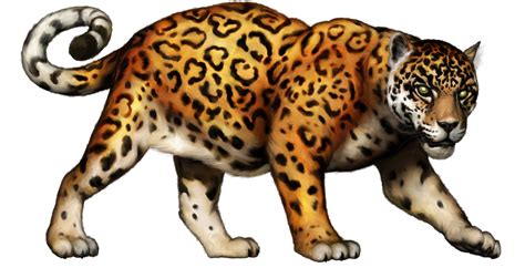 Jaguar Clipart 20 Free Cliparts Download Images On Clipground 2024