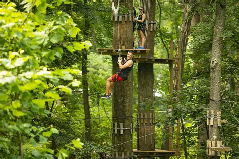 Defying Gravity Where To Reach New Heights In Montgomery County