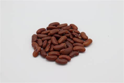 Kidney beans are moderately easy to grow, but you do need to make sure that the roots do not get waterlogged or otherwise damaged at any point like many other bean varieties, kidney beans can be grown as bushes or as vines, so you will need to choose a type that works best according to the. Organic Light Red Kidney Beans - Artisan Specialty Foods