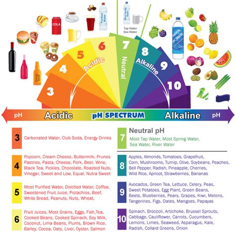 Alkaline Acidic Foods Chart The Ph Spectrum Mindbodygreen Com