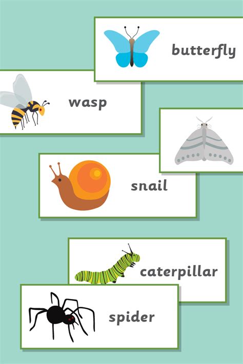 Minibeast Topic Cards Minibeasts Writing Center Cards