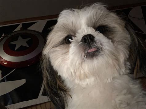When You Open Front Facing Camera By Accident Rshihtzu