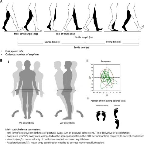 Visual Representation Of Gait Cycle And Postural Sway A Gait Cycle