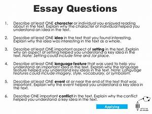english essay question examples