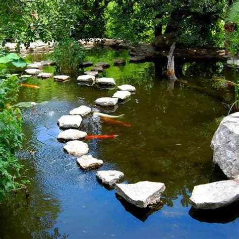 18 Mystical Japanese Pond Design Ideas 2024 Pond Informer