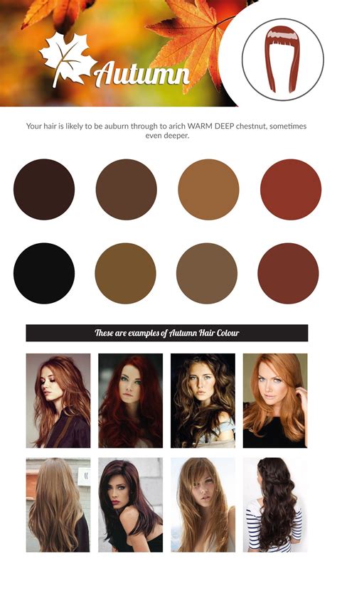 Autumn Hair Colour Chart Warm Hair Color Deep Autumn Palette Hair Color Orange