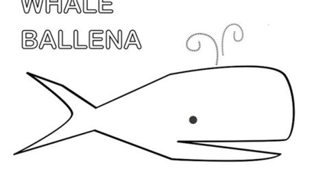 A spanish to english glossary adherencia: C O Se Dice En Ingl駸 Ballena