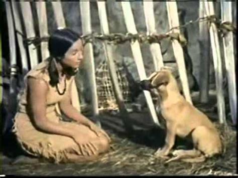 She has befriended them and does not want to kill their families, but rather sees them as companions. Island of The Blue Dolphins 1964 Part 9 - YouTube