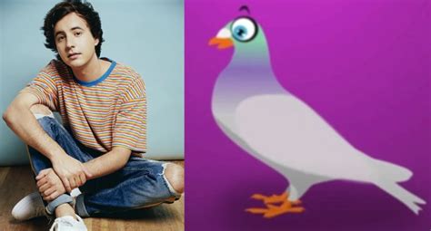 Paloma Wiki Pollito Pio Fandom