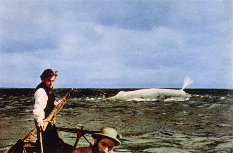 John Hustons „moby Dick“ Auf Arte Kulturnewsde