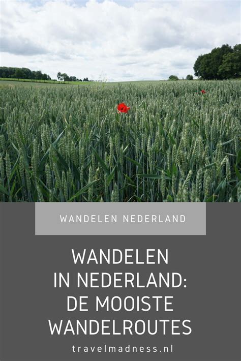 Wandelen In Nederland Ik Heb Een Verzameling Gemaakt Van De Mooiste