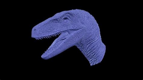 Jurassic Park Velociraptor Head 3d Model 3d Printable Cgtrader