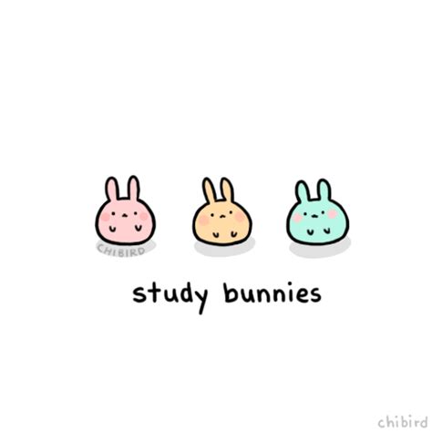 Explore and share the best cute animals gifs and most popular animated gifs here on giphy. chibird: If you still have finals like me, these study ...