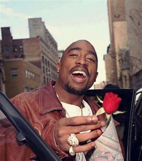 The Rose That Grew From The Concrete Tupac Pictures Tupac Tupac