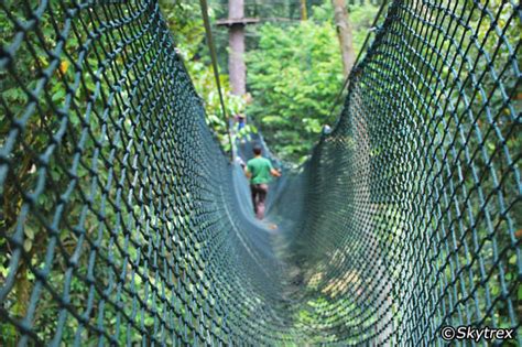 The easiest course is the little adventure which is suitable for the little ones. Skytrex Adventure - GoWhere Malaysia