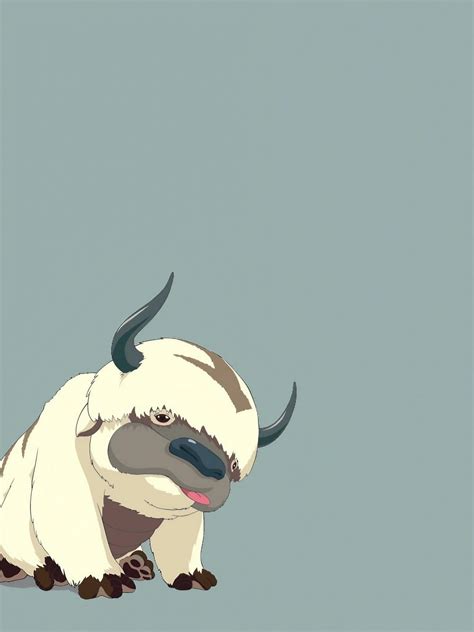 Appa And Momo Wallpapers Top Free Appa And Momo Backgrounds