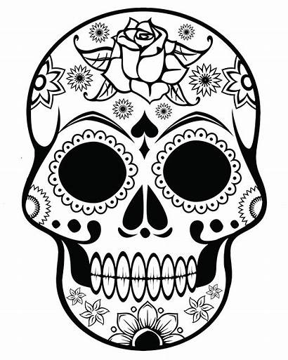 Coloring Pages Skeleton Head Cool Skulls Sugar