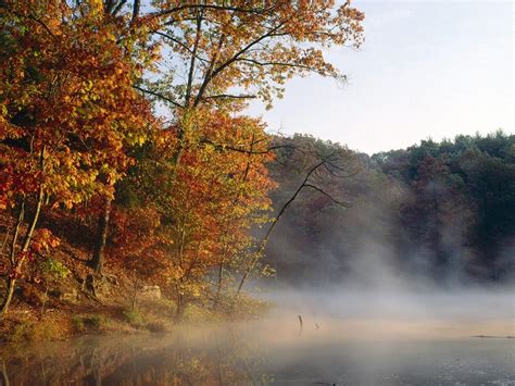 Autumn Mist ~ Autumn Posters Picture