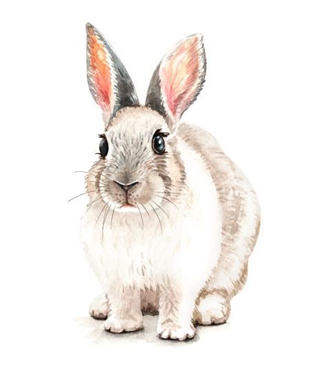 Premium Vector Watercolor Cute Rabbit Illustration T Shirt Print