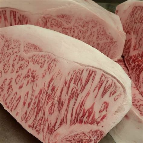 We did not find results for: Pin on kobe beef
