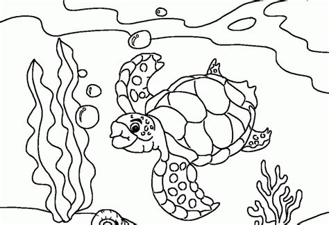 Animal Coloring Ocean Coloring Page Ocean Fish Coloring Pages Big