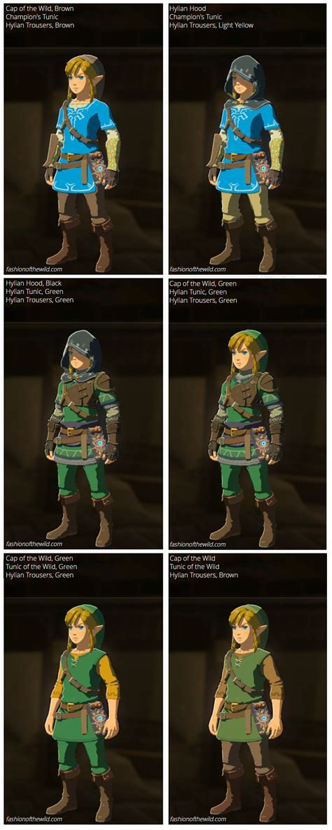 The Hylian Set Wild Set Champions Tunic Really Blend Well Together