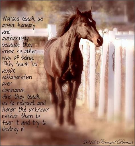 Horses Teach Us About Honest And Authenticity Because They Know No