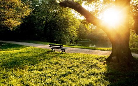 summer morning in the park bench trees grass sunlight wallpaper travel and world