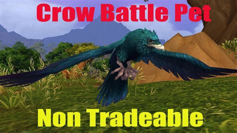 World Of Warcraft Darkmoon Faire How To Get The Crow Pet Youtube