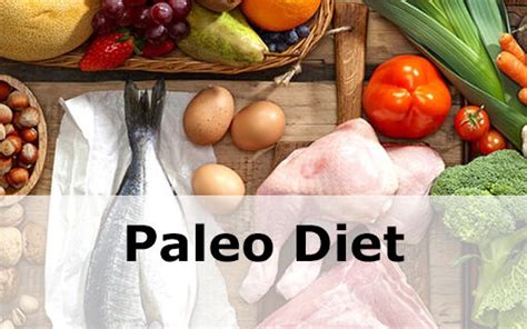 paleo diet beginner s guide fit and healthy recipes
