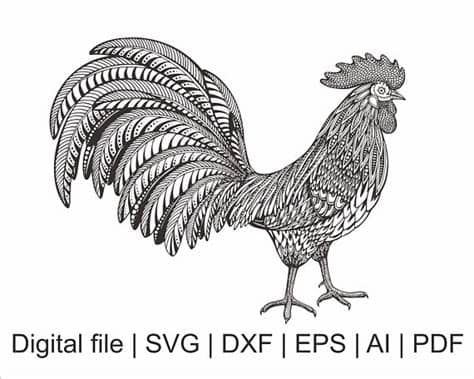 This is a personal use svg file. Rooster svg, Rooster silhouette, Bird svg, Mandala svg ...