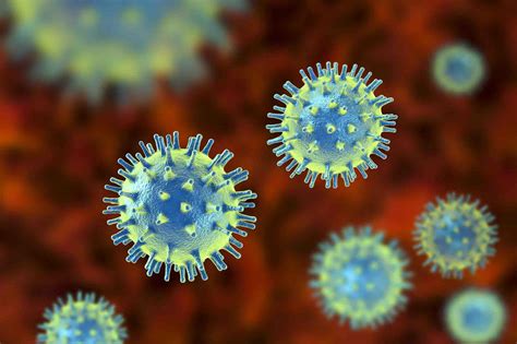 Virus Definition And Meaning