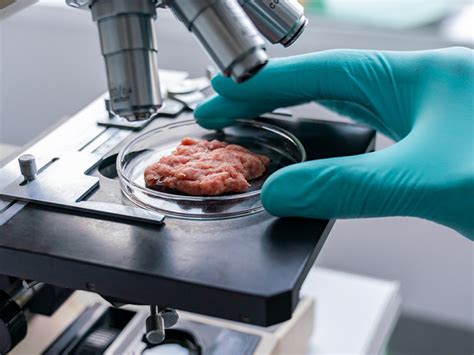 la viande cultivée en laboratoire se rapproche des épiceries après l approbation de la fda