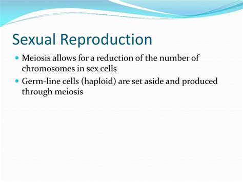 Ppt Meiosis Powerpoint Presentation Free Download Id 2279139