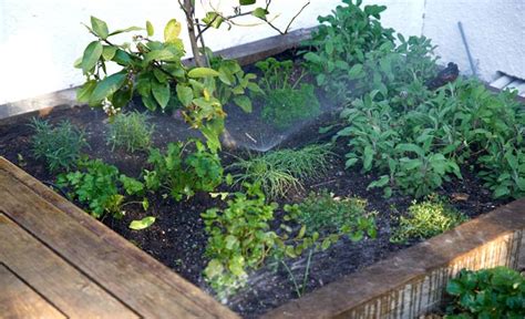 Learn how to build a raised vegetable garden for growing a variety of plants in your own backyard. How to Build a Raised Vegetable Garden - Guides | Mitre 10